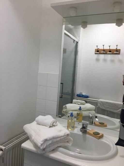 Bel Appartement Climatise Plein Centre Ville Poitiers Kültér fotó